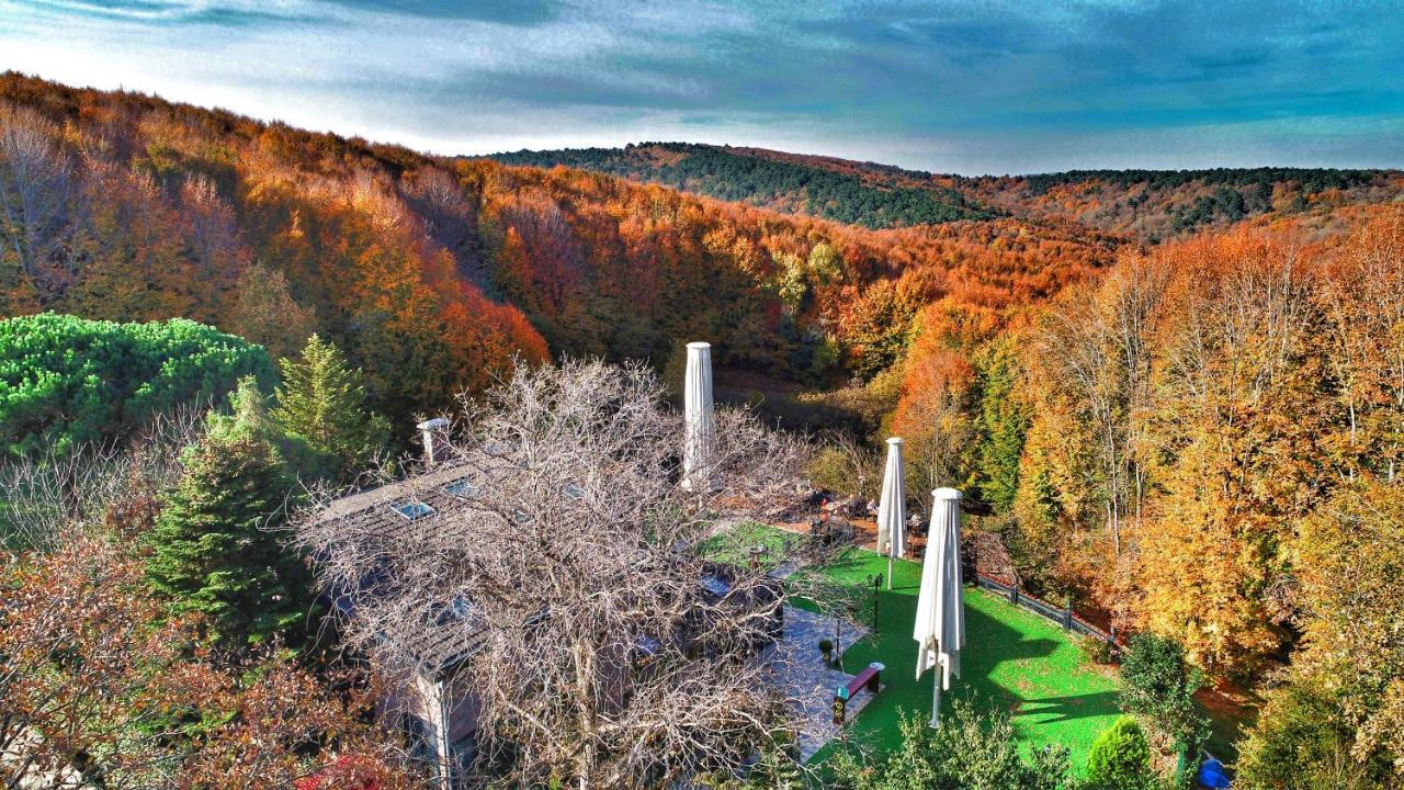 Villa Polonez Istanbul Bagian luar foto